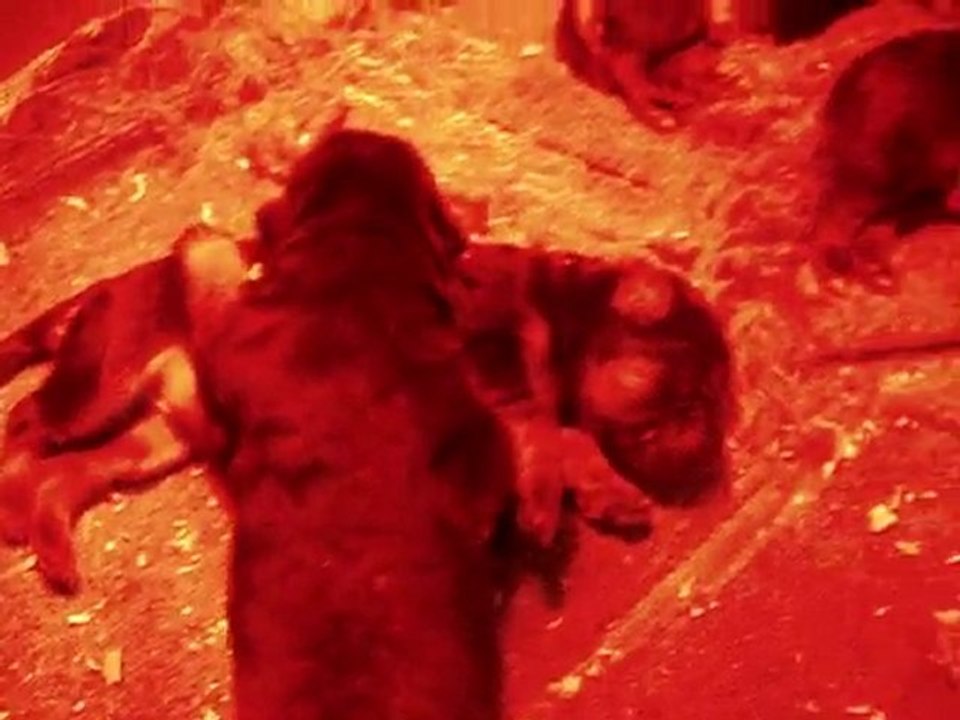 MOV02551