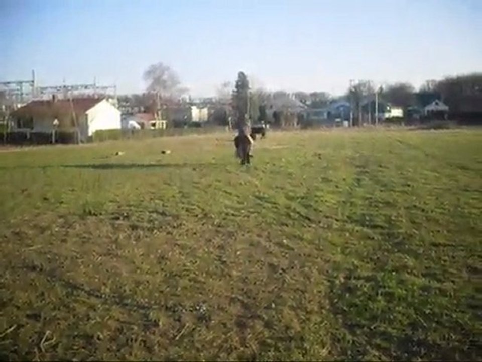 Au Galop A Cru