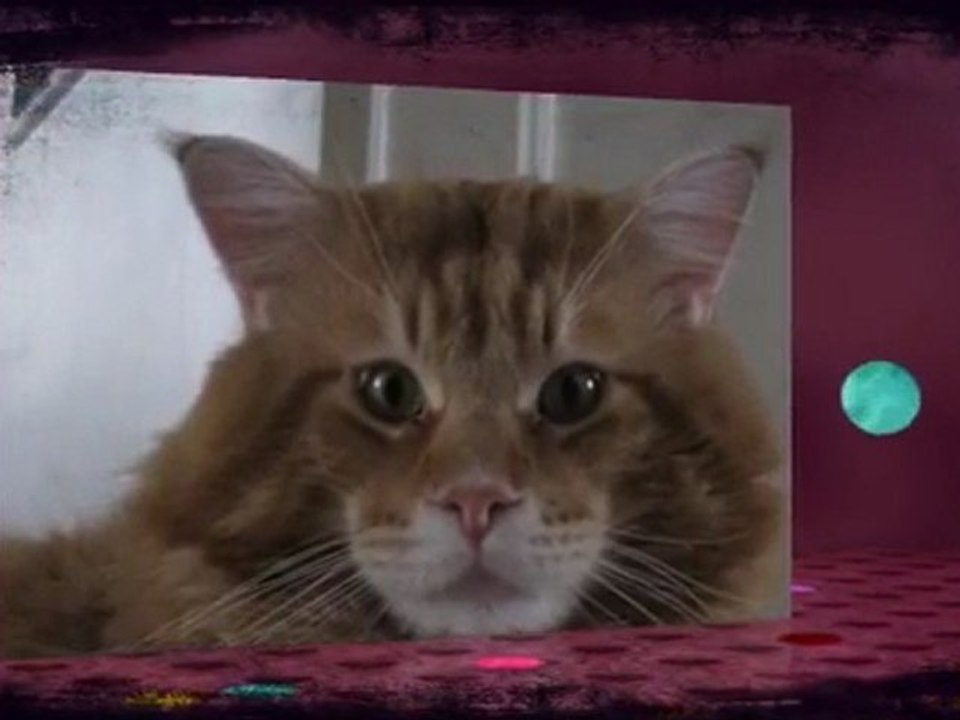 Borodine, la force tranquile