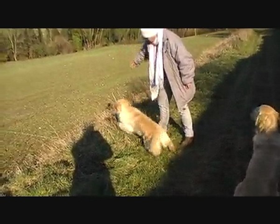 4 dummies alignés_0001