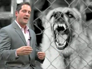 Can I Get Compensated for a Dog Bite?