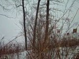 Corey Lake - Lakefront Lot For Sale