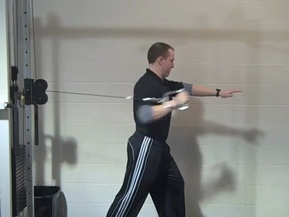 Standing Split-Stance Cable Push