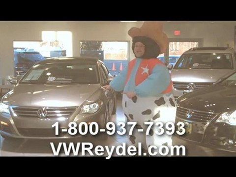 VW Punch Dub Edison Shrewsbury Brunswicks Plainfields NJ