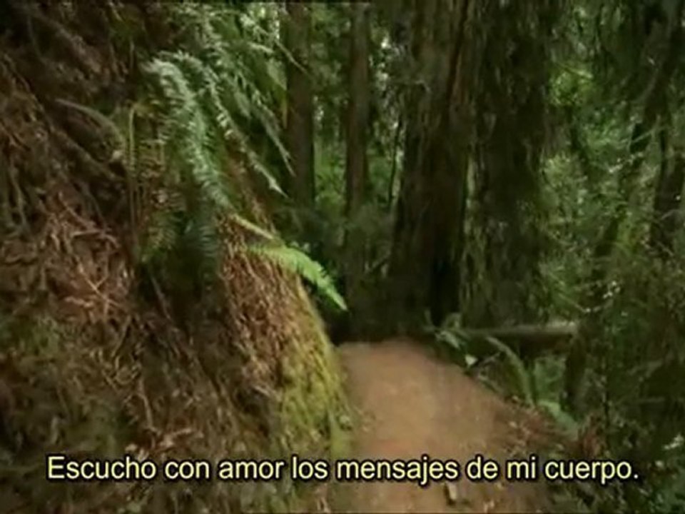 Afirmaciones Louisa Hay