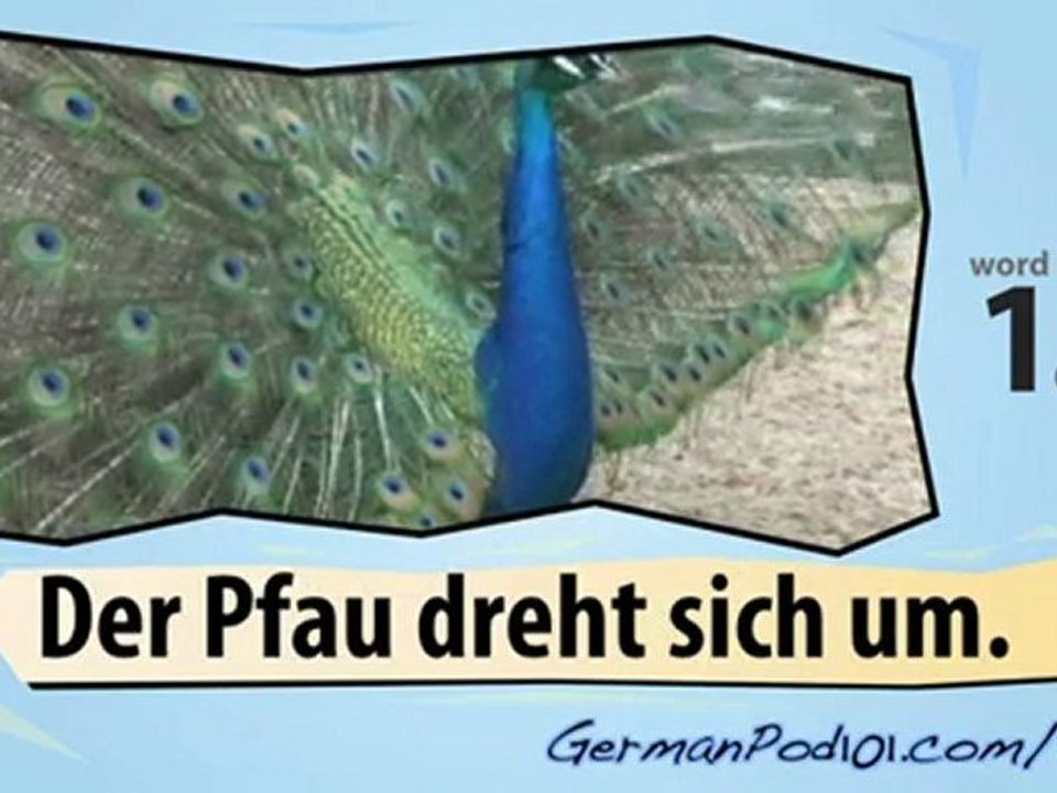 Learn German - Learn with German Bird Videos