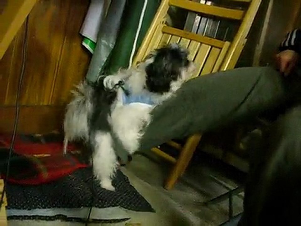 test (chi-chi)