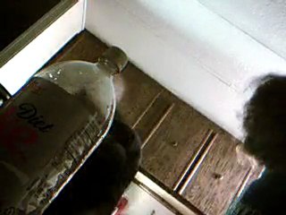 Kitten attack part dos