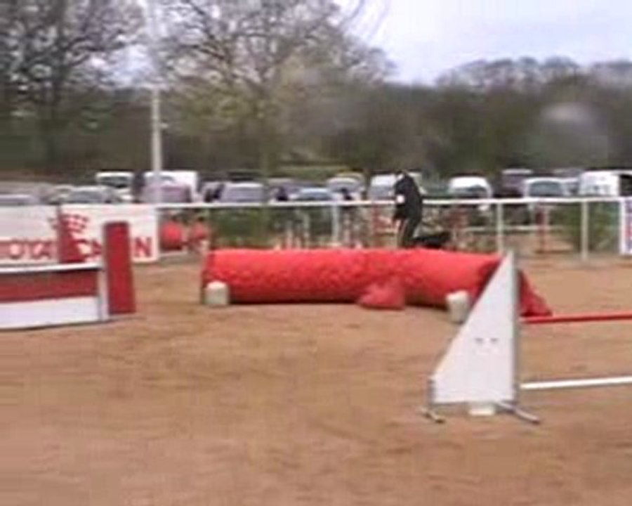 cheyenne agility  jumping