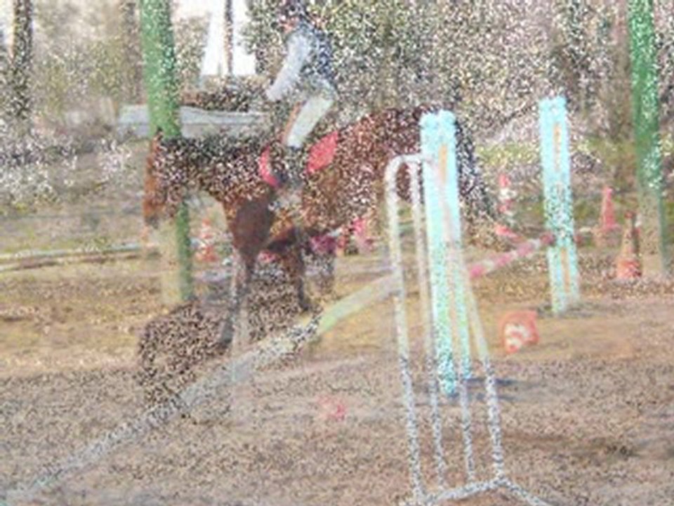 stage hunter du 19 fevrier 2010