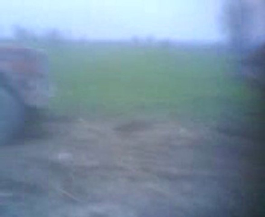 dodge