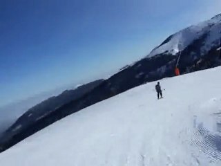 Les monts d'Olmes - Les Myrtilles