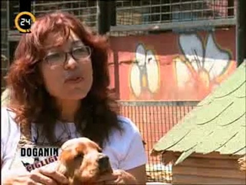 Yedikule Hayvan Barinagi Bolum 2