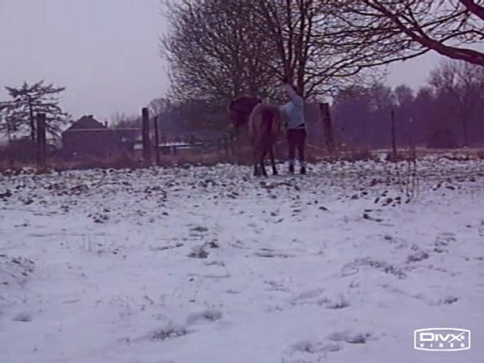 Séance du 14 février 2010