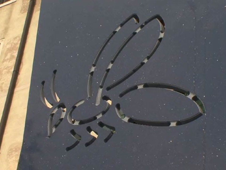 La danza delle Api- Biennale di Venezia 2009