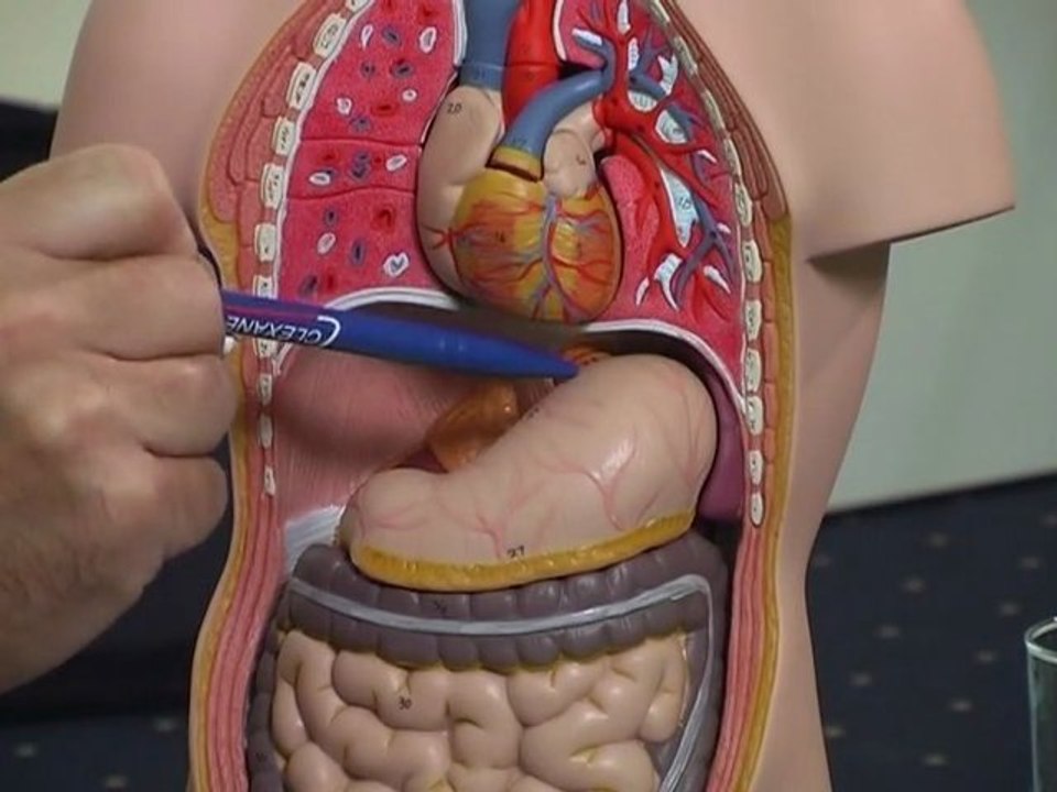 Magenbypass & co.: chirurgie bei extremer adipositas