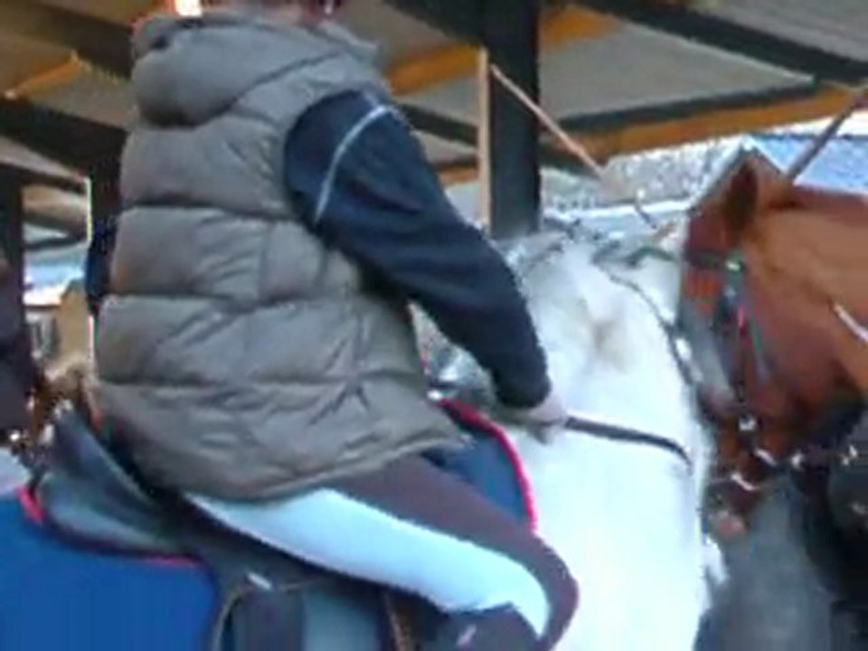 Cours du 13.02.10 - Planète Poney ♥