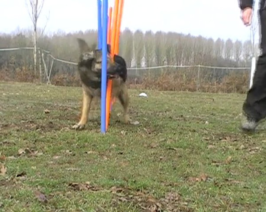 le trio slalom