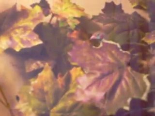 buda benim camlı avarium..