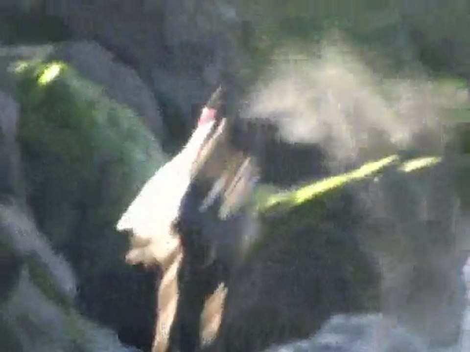 Léandro et Aranksa : 2 galgos enfin heureux!!