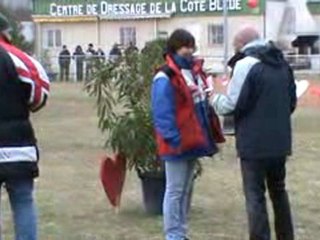 Cassia mondio 1