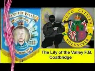 Young Citizen Volunteers