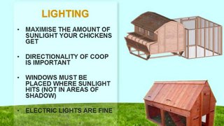 Chicken Houses - Things To Consider When Building