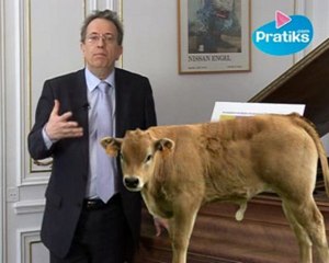 Comment bien manger des protéines