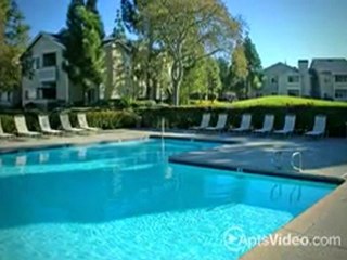 Blue Rock Village Apartments in Vallejo, CA-ForRent.com