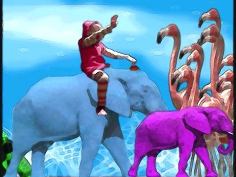 Au pays des flamands roses