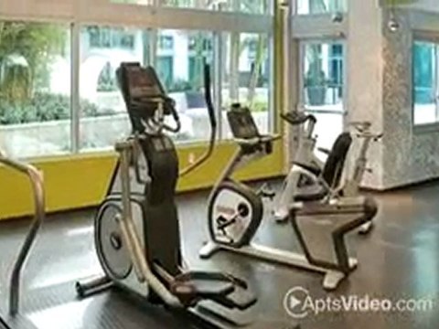 The Lofts at 707 Tenth San Diego, CA-ForRent.com