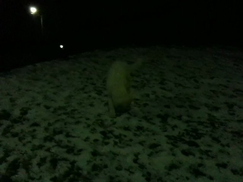 mon montagne des pyrénées