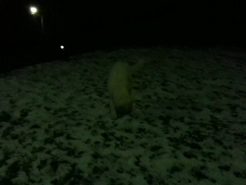 mon montagne des pyrénées