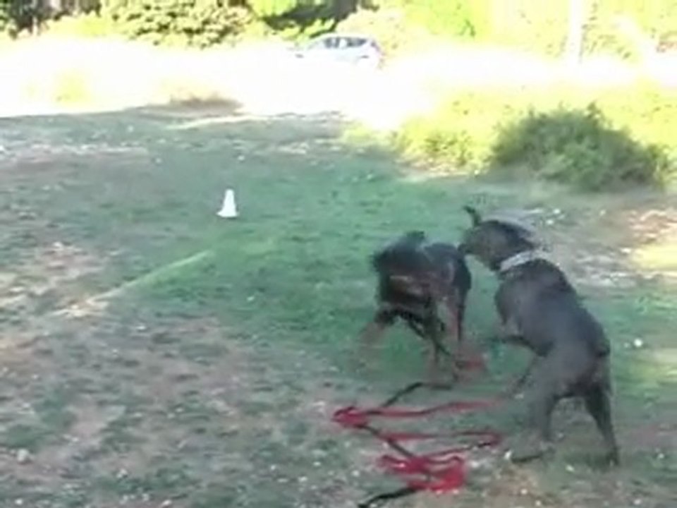 les jeux