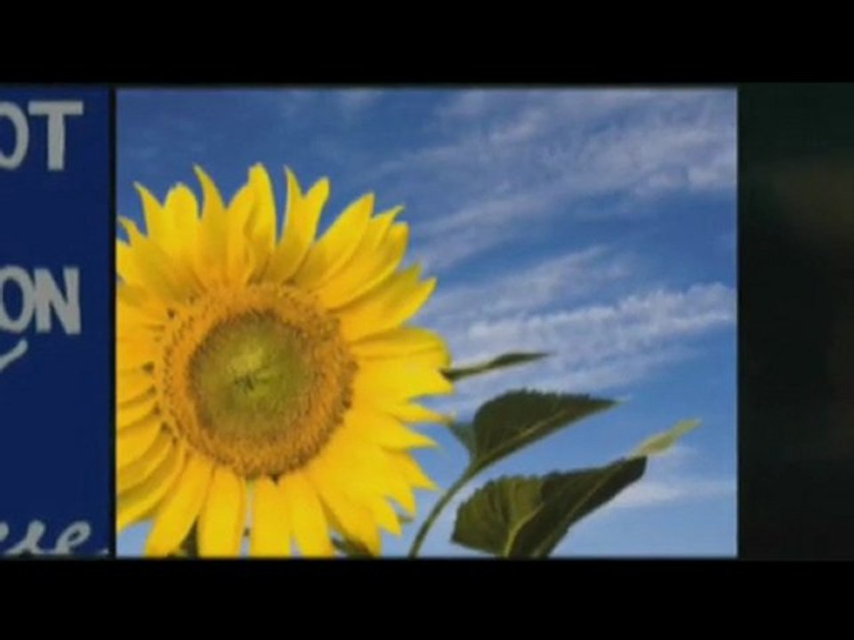 Quotes to Live By - The Best ones