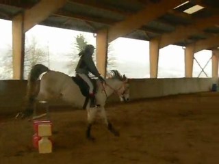 17/02/2010 obstacle plots