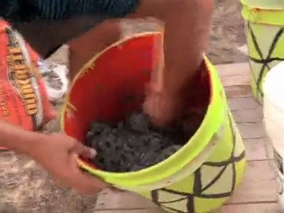 Surf Sufficient - Shaping Blocks