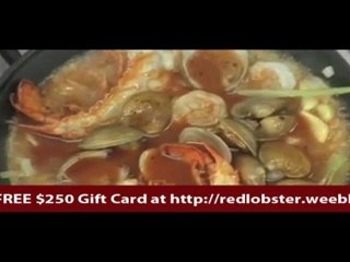 Red Lobster FREE 250 Dollar Gift Card