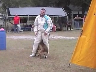 ARF Ian Gresch Decoy Formation Bite Work 1