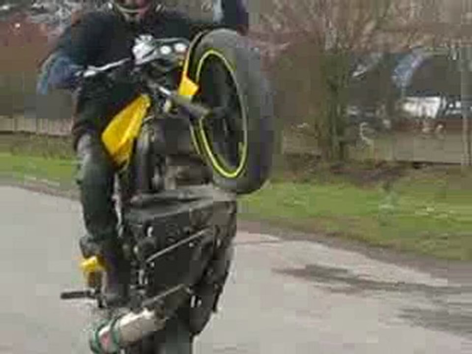 stunt