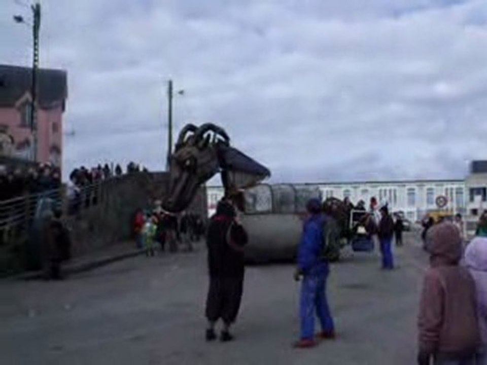 2010_02_14_ vidéo1_Agnus Horribilis - GRAS de Douarnenez