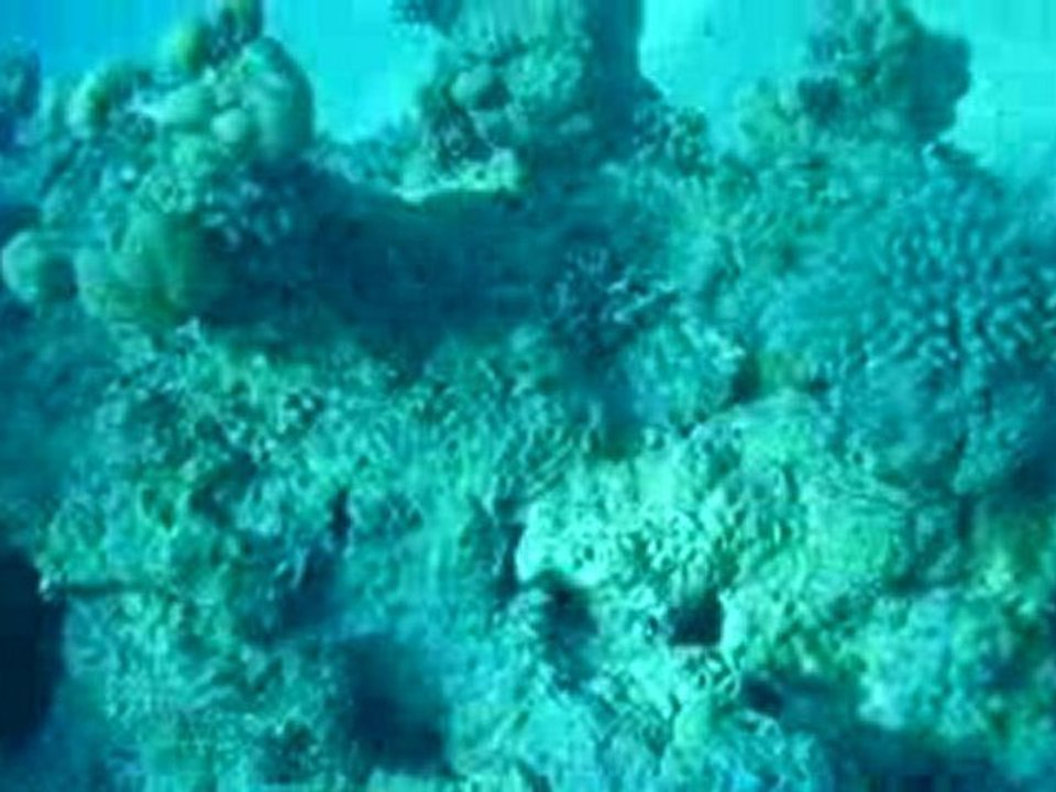 P1010218