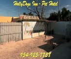 HOLLYDOGS PET HOTEL DOG KENNELS BOARDING HOLLYWOOD FLORIDA