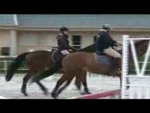 wes 2008 1 mois de travail