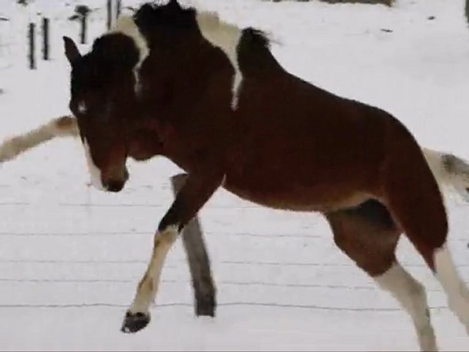 Chey'ou et cercles en lib'