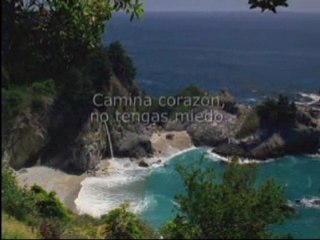 Literatura, treinta minutos