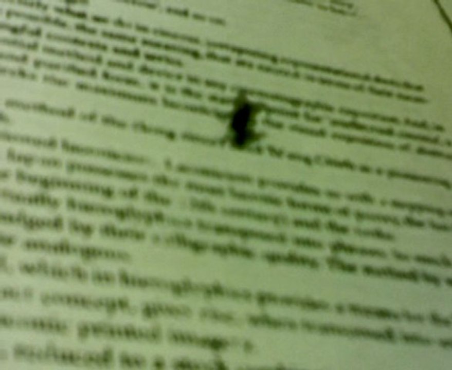 fly