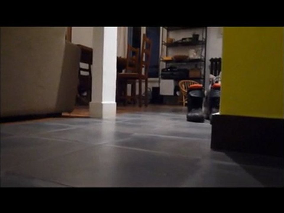 The PennyLove Trailer