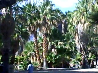 Tucson - Agua Caliente Trail