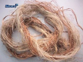 Vers un renouveau du textile ! (Alsace)